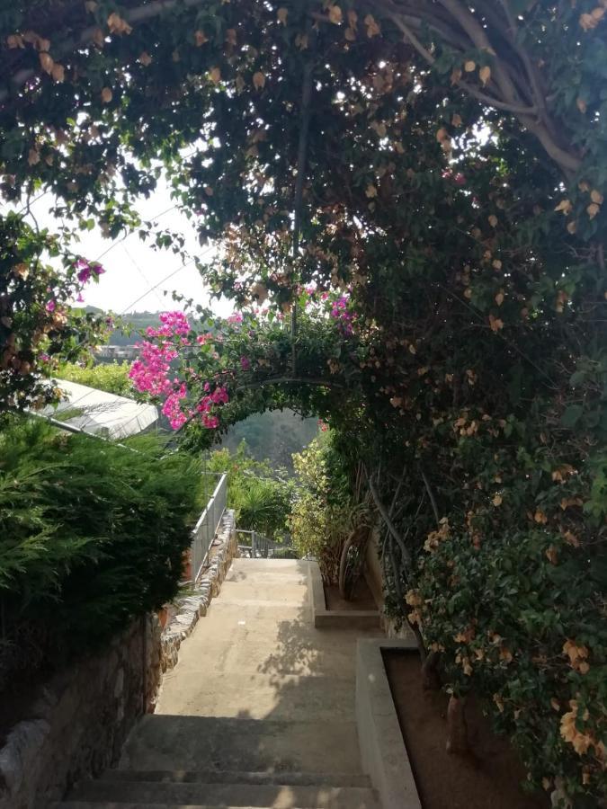 Villa Del Conte Drapia Kültér fotó
